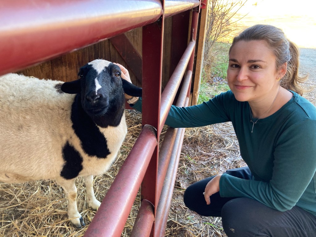 True Animal Sanctuary or Exploitative ‘Attraction’? Here’s What You Need To Know If You Love&nbsp;Animals